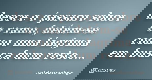 desce o pássaro sobre o ramo, detém-se como uma lágrima em busca dum rosto...... Frase de nataliarosafogo.