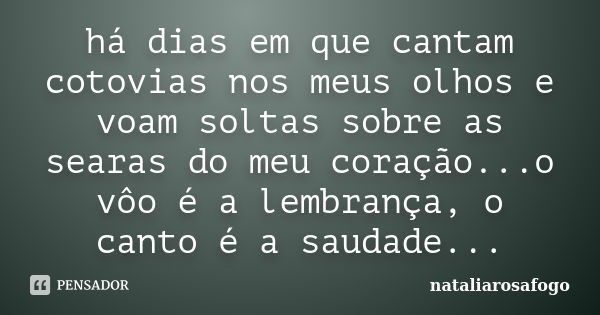 há dias em que cantam cotovias nos meus olhos e voam soltas sobre as searas do meu coração...o vôo é a lembrança, o canto é a saudade...... Frase de nataliarosafogo.