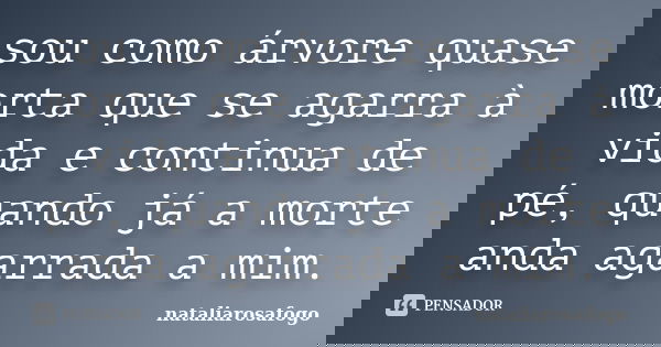 sou como árvore quase morta que se agarra à vida e continua de pé, quando já a morte anda agarrada a mim.... Frase de nataliarosafogo.