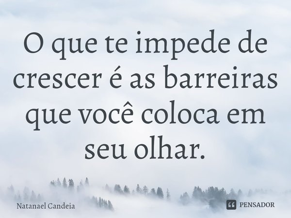⁠O que te impede de crescer é as barreiras que você coloca em seuolhar.... Frase de Natanael Candeia.