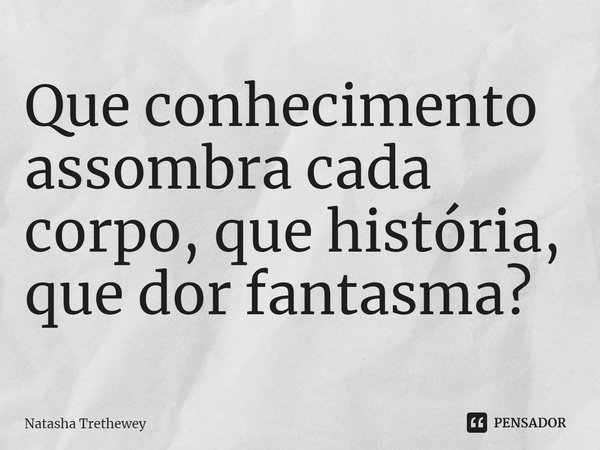 ⁠Que conhecimento assombra cada corpo, que história, que dor fantasma?... Frase de Natasha Trethewey.