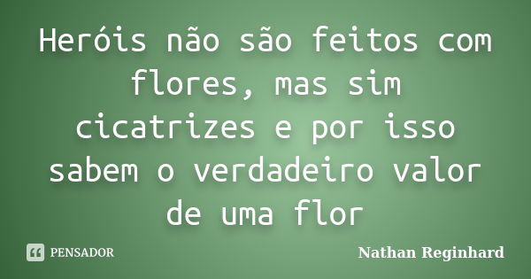 Heróis não são feitos com flores, mas sim cicatrizes e por isso sabem o verdadeiro valor de uma flor... Frase de Nathan Reginhard.