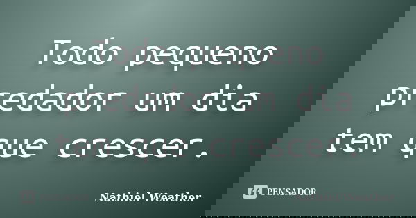 Todo pequeno predador um dia tem que crescer.... Frase de Nathiel Weather.