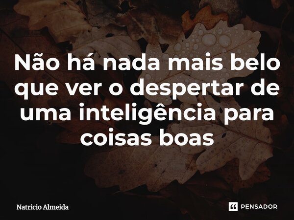 ⁠Não há nada mais belo que ver o despertar de uma inteligência para coisas boas... Frase de Natricio Almeida.