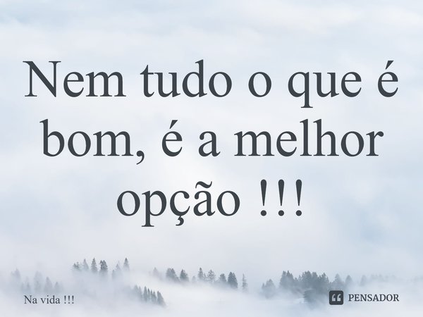 ⁠Nem tudo o que é bom, é a melhor opção !!!... Frase de Na vida !!!.