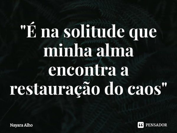 ⁠⁠"É na solitude que minha alma encontra a restauração do caos"... Frase de Nayara Alho.