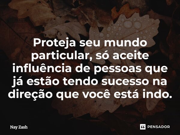⁠⁠Proteja seu mundo particular, só aceite influência de pessoas que já estão tendo sucesso na direção que você está indo.... Frase de Nay ZASH.