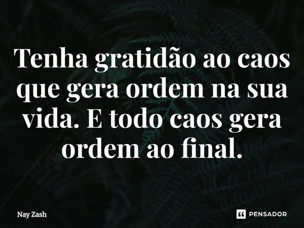 ⁠⁠Tenha gratidão ao caos que gera ordem na sua vida. E todo caos gera ordem ao final.... Frase de Nay ZASH.