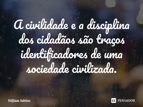 ⁠A civilidade e a disciplina dos cidadãos são traços identificadores de uma sociedade civilizada.... Frase de Ndjizas Sabino.