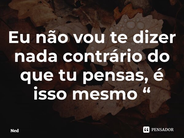 ⁠Eu não vou te dizer nada contrário do que tu pensas, é isso mesmo “... Frase de NED.