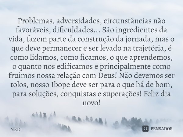 Problemas, adversidades, circunstâncias não favoráveis, dificuldades... São ingredientes da vida, fazem parte da construção da jornada, mas o que deve permanece... Frase de NED.