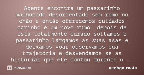 Agente encontra um passarinho machucado desorientado sem rumo no chão e então oferecemos cuidados carinho e um novo rumo, depois de está totalmente curado solta... Frase de Neehgo Roots.