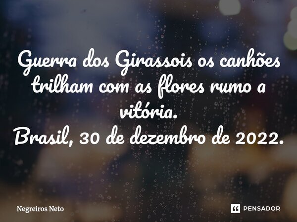 Guerra dos Girassois os canhões trilham com as flores rumo a vitória. Brasil, 30 de dezembro de 2022.... Frase de Negreiros Neto.