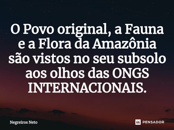 O Povo original, a Fauna e a Flora da Amazônia ⁠são vistos no seu subsolo aos olhos das ONGS INTERNACIONAIS.... Frase de Negreiros Neto.