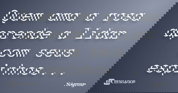 Quem ama a rosa aprende a lidar com seus espinhos...... Frase de Negron.