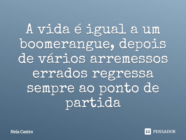 ⁠A vida é igual a um boomerangue, depois de vários arremessos errados regressa sempre ao ponto de partida... Frase de Neia Castro.