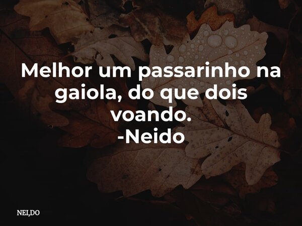Melhor um passarinho na gaiola, do que dois voando. -Neido... Frase de NEI,DO.