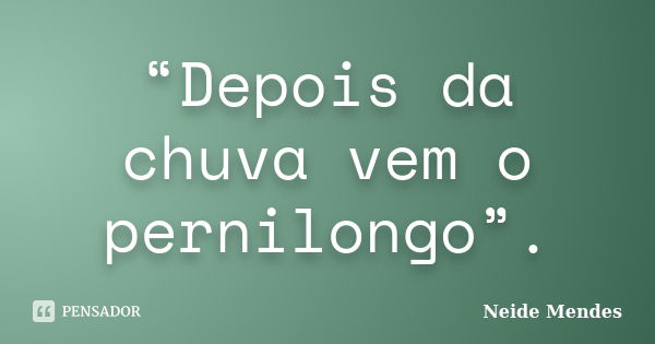 “Depois da chuva vem o pernilongo”.... Frase de Neide Mendes.