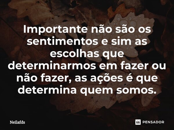 ⁠Importante não são os sentimentos e sim as escolhas que determinarmos em fazer ou não fazer, as ações é que determina quem somos.... Frase de neilafds.
