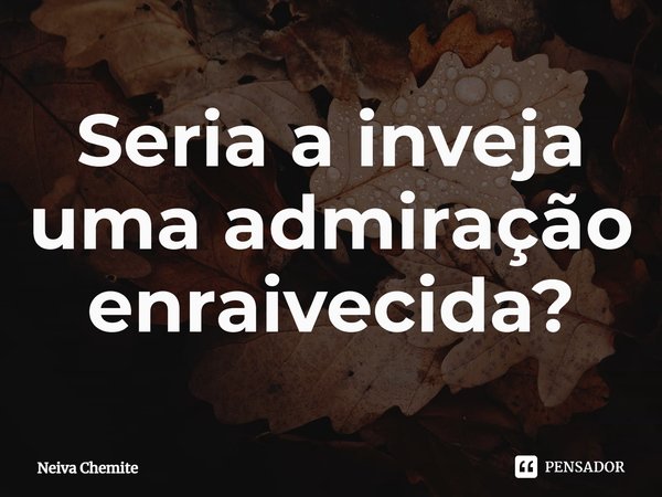 ⁠Seria a inveja uma admiração enraivecida?... Frase de Neiva Chemite.