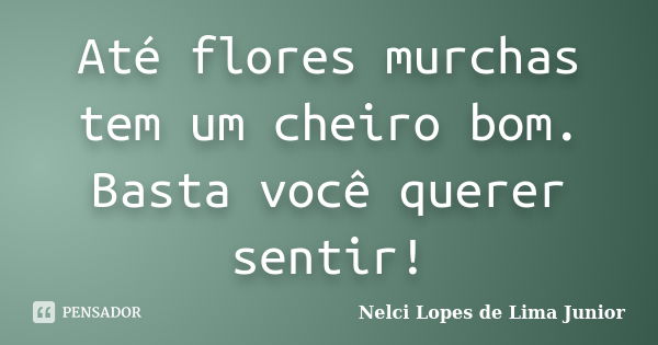 Até flores murchas tem um cheiro bom. Basta você querer sentir!... Frase de Nelci Lopes de Lima Junior.