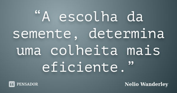 “A escolha da semente, determina uma colheita mais eficiente.”... Frase de Nélio Wanderley.