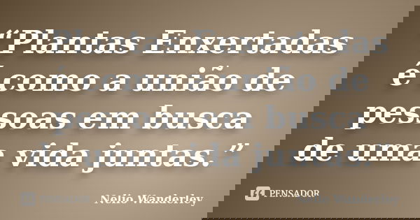 “Plantas Enxertadas é como a união de pessoas em busca de uma vida juntas.”... Frase de Nélio Wanderley.
