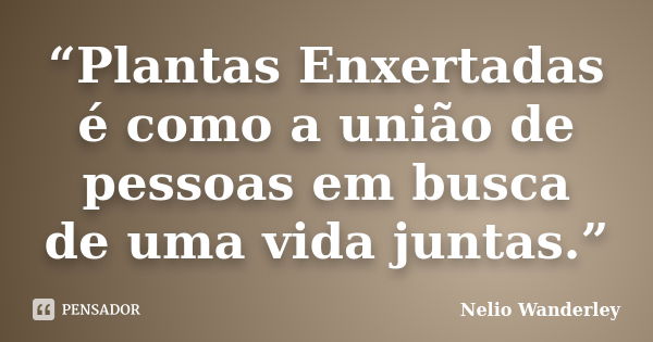 “Plantas Enxertadas é como a união de pessoas em busca de uma vida juntas.”... Frase de Nélio Wanderley.