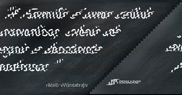 "A Família é uma célula grandiosa, cheia de energia e bastante poderosa."... Frase de Nélio Wanderley.