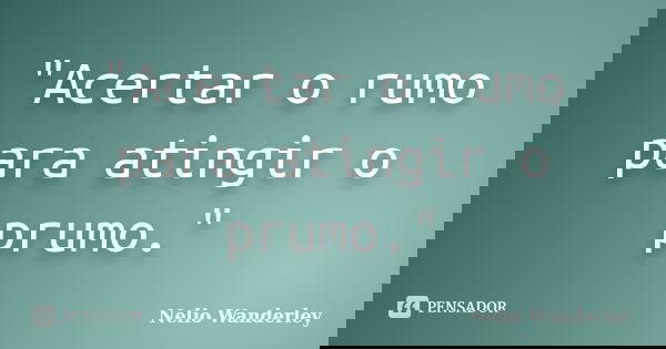 "Acertar o rumo para atingir o prumo."... Frase de Nélio Wanderley.