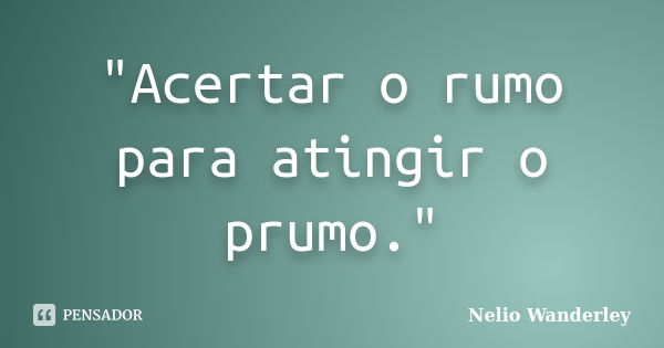 "Acertar o rumo para atingir o prumo."... Frase de Nélio Wanderley.