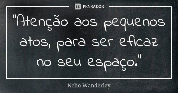 "Atenção aos pequenos atos, para ser eficaz no seu espaço."... Frase de Nélio Wanderley.