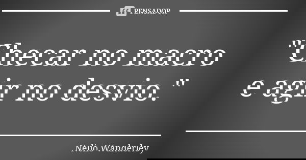 "Checar no macro e agir no desvio."... Frase de Nélio Wanderley.