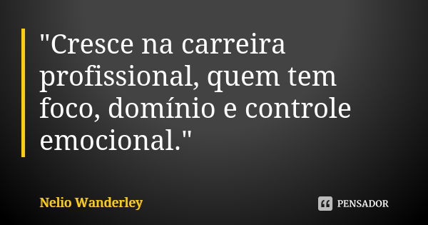 "Cresce na carreira profissional, quem tem foco, domínio e controle emocional."... Frase de Nélio Wanderley.