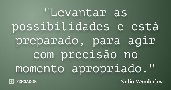 "Levantar as possibilidades e está preparado, para agir com precisão no momento apropriado."... Frase de Nélio Wanderley.