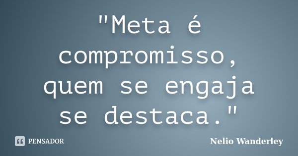 "Meta é compromisso, quem se engaja se destaca."... Frase de Nélio Wanderley.