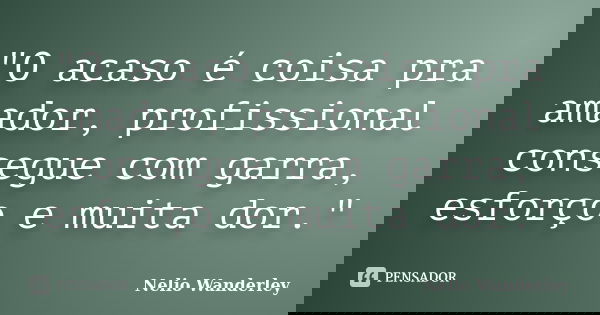 "O acaso é coisa pra amador, profissional consegue com garra, esforço e muita dor."... Frase de Nélio Wanderley.