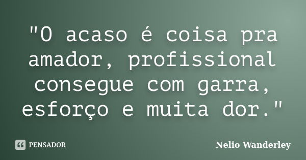 "O acaso é coisa pra amador, profissional consegue com garra, esforço e muita dor."... Frase de Nélio Wanderley.