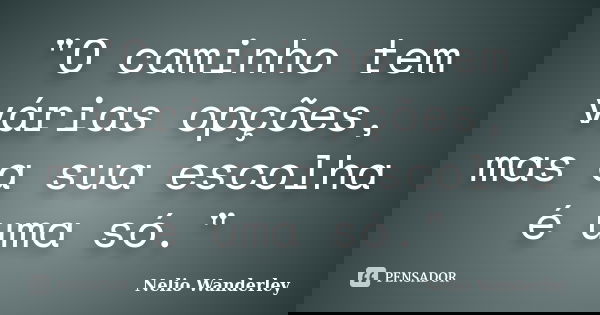 "O caminho tem várias opções, mas a sua escolha é uma só."... Frase de Nélio Wanderley.