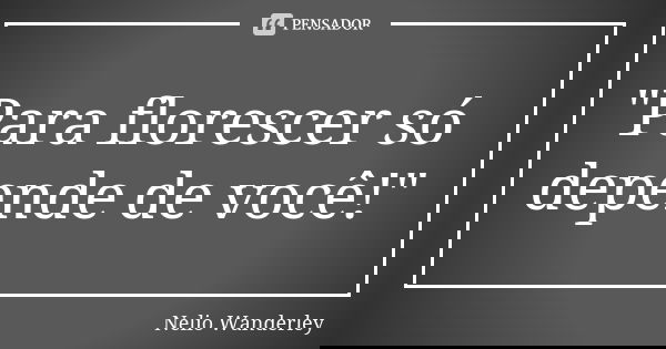 "Para florescer só depende de você!"... Frase de Nélio Wanderley.