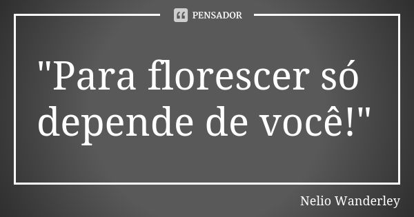 "Para florescer só depende de você!"... Frase de Nélio Wanderley.