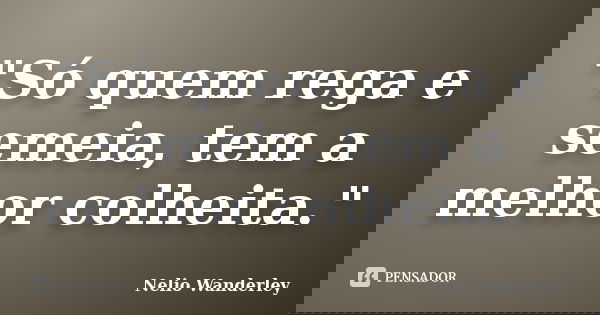 "Só quem rega e semeia, tem a melhor colheita."... Frase de Nélio Wanderley.