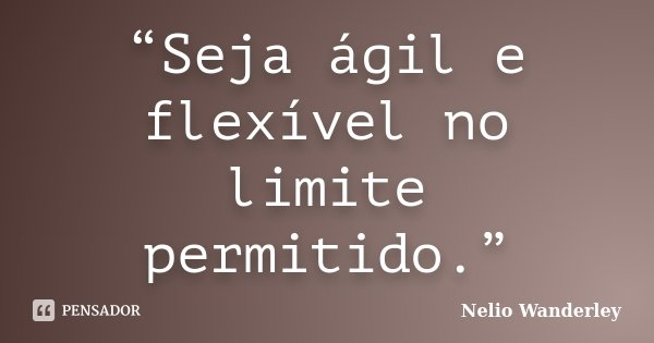 “Seja ágil e flexível no limite permitido.”... Frase de Nélio Wanderley.
