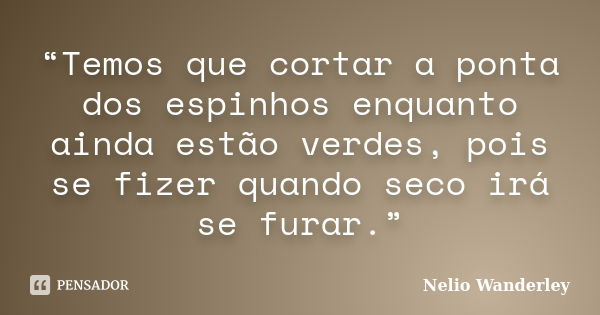 “Temos que cortar a ponta dos espinhos enquanto ainda estão verdes, pois se fizer quando seco irá se furar.”... Frase de Nélio Wanderley.