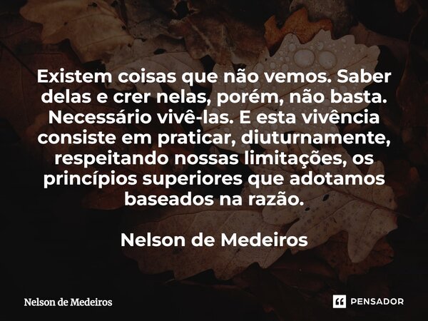 Existem coisas que não vemos. Saber delas e crer nelas, porém, não basta. Necessário vivê-las. E esta vivência consiste em praticar, diuturnamente, respeitando... Frase de Nelson de Medeiros.