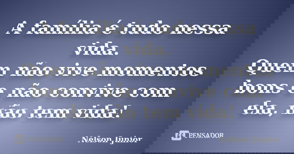 A família é tudo nessa vida. Quem não vive momentos bons e não convive com ela, não tem vida!... Frase de Nelson Junior.