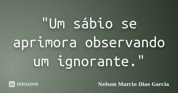 "Um sábio se aprimora observando um ignorante."... Frase de Nelson Marcio Dias Garcia.