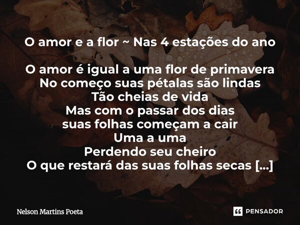 O amor e a flor ~ Nas 4 estações do ano O amor é igual a uma flor de primavera No começo suas pétalas são lindas Tão cheias de vida Mas com o passar dos dias s... Frase de Nelson Martins Poeta.