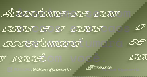 Acostume-se com o caos e o caos se acostumará com você.... Frase de Nelson Sganzerla.