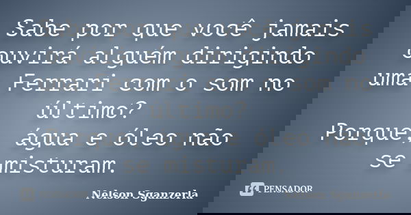 Sabe por que você jamais ouvirá alguém dirigindo uma Ferrari com o som no último? Porque, água e óleo não se misturam.... Frase de Nelson Sganzerla.